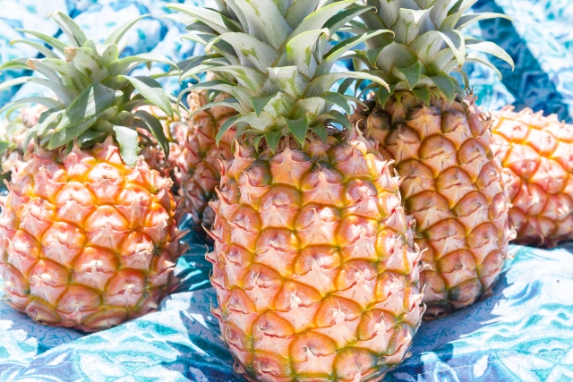 西表島パイランドファーム