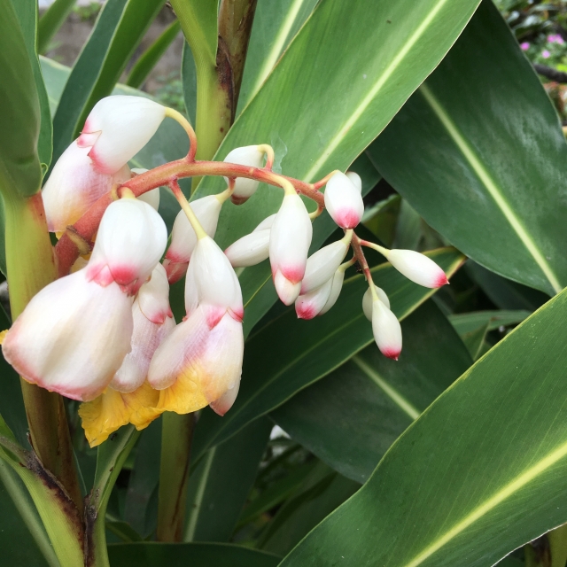 コスメ・化粧品