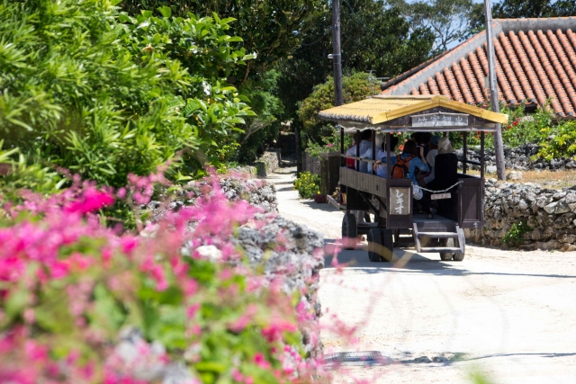 竹冨島の種子取祭