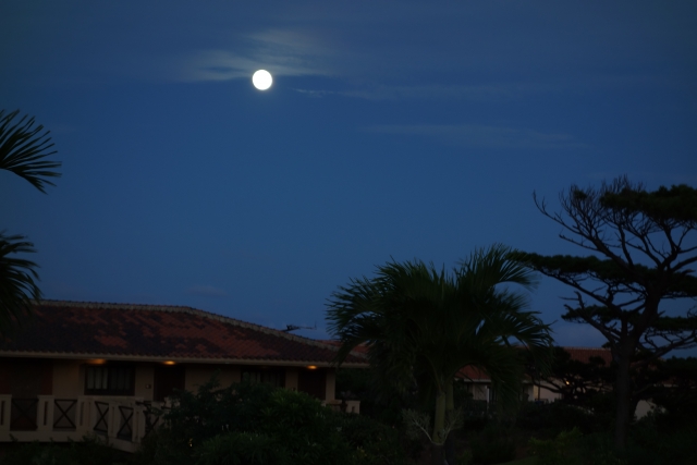 ティンガーラロマンティック