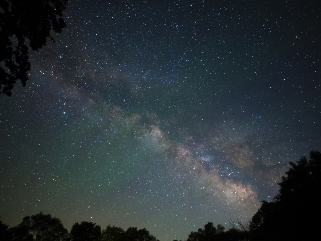 ナイトクルーズ