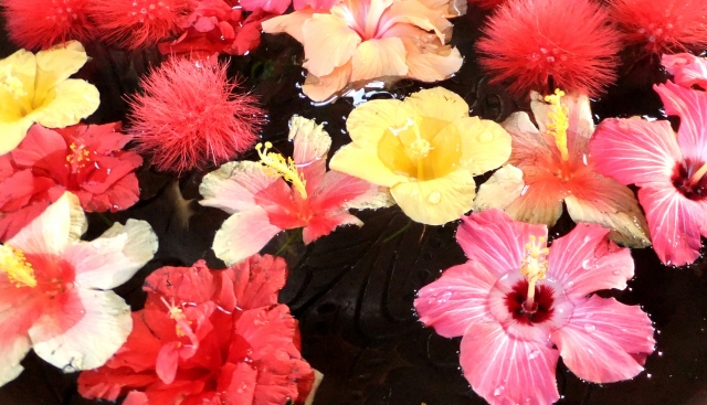 コスメ・化粧品