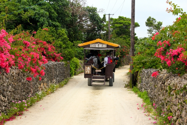 子供連れ旅行注意点