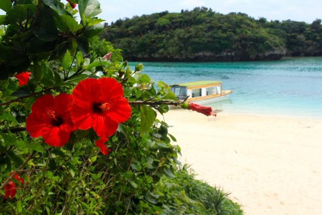 子供連れ旅行注意点