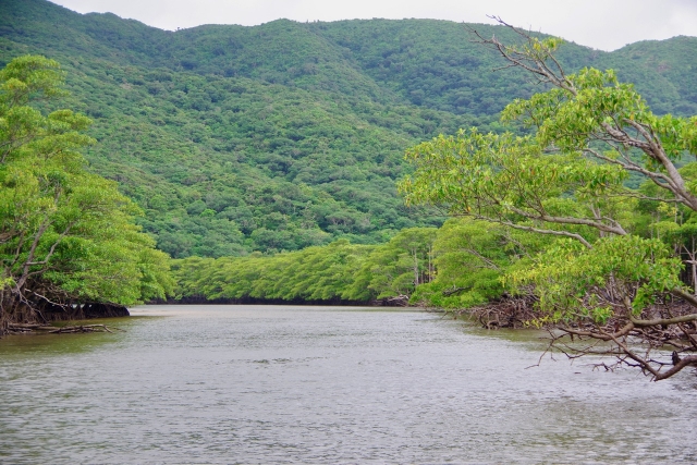 マリユドゥの滝